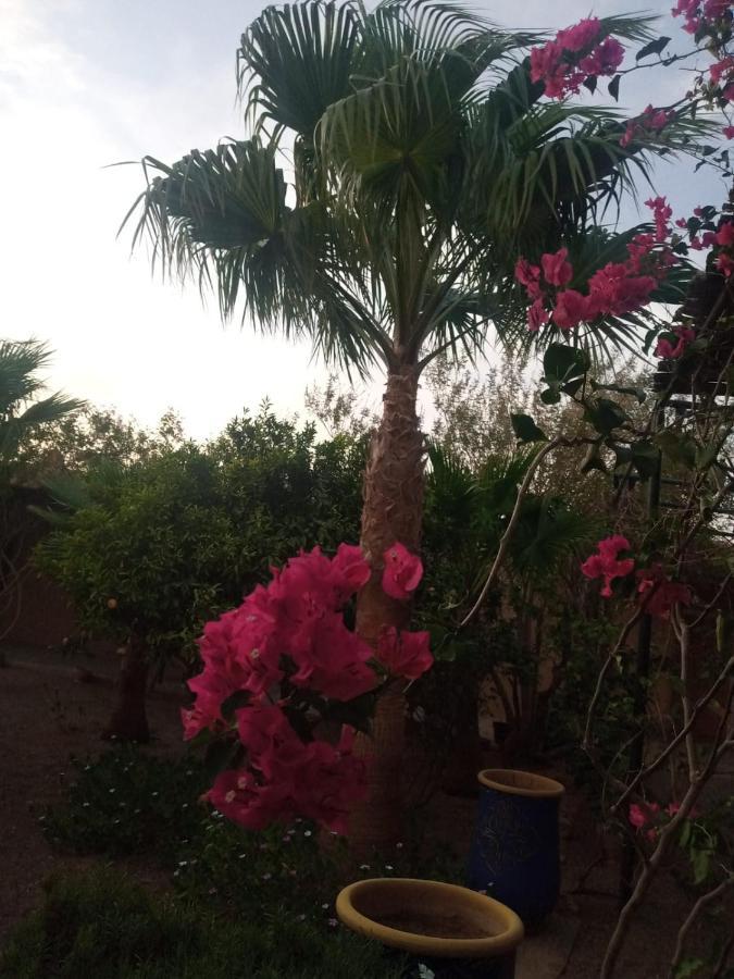 Auberge Bassou Nkob Zewnętrze zdjęcie